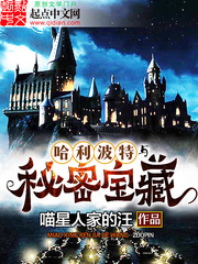 Harry Potter and the Secret Treasure